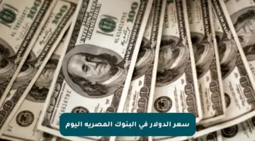 سعر الدولار في البنوك المصرية اليوم